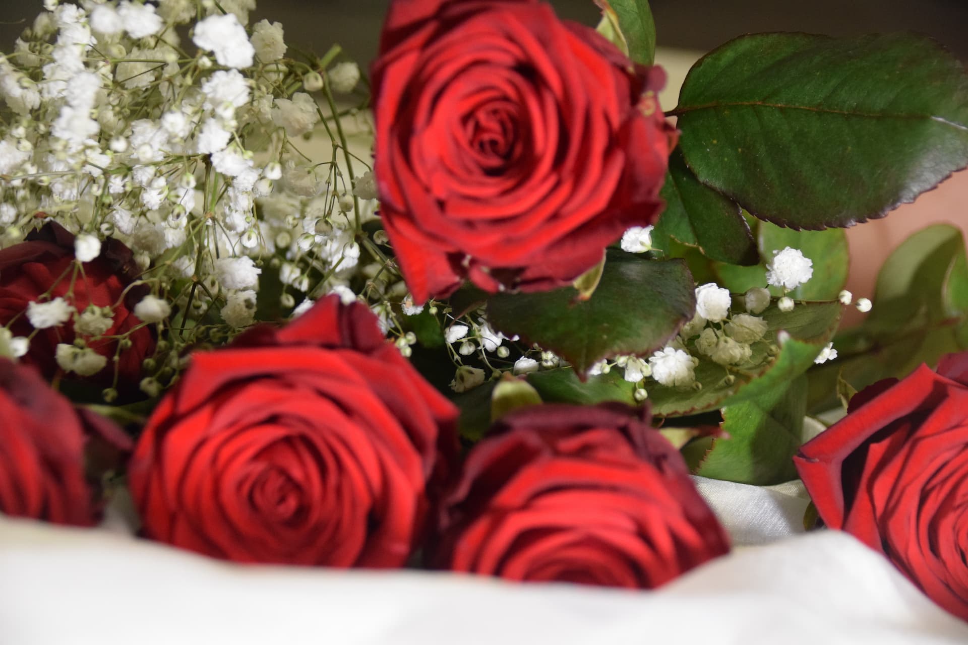 Roses